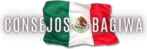 CONSEJOS BAGIWA